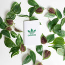 Cahier à planter